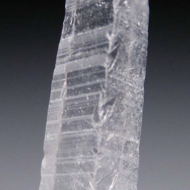 Nifontovite