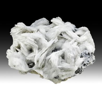 Barite with Galena