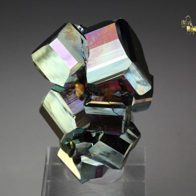 new find - iridescent PYRITE