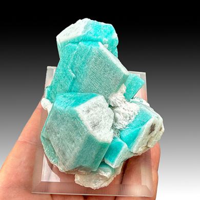 Microcline with Albite (repaired 1x) (2187)