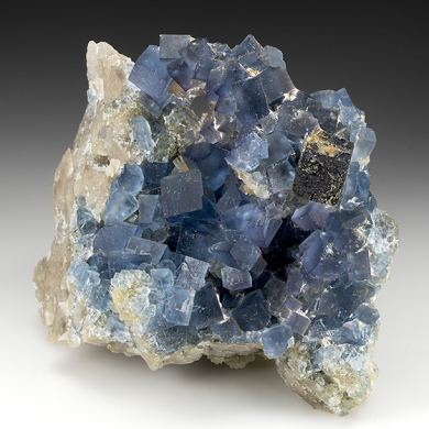Fluorite with Galena