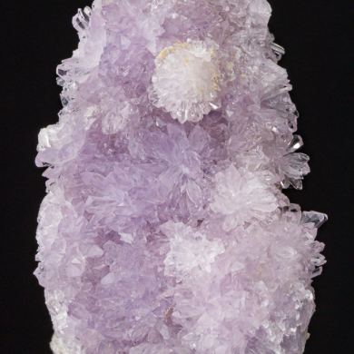 Creedite