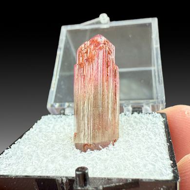 Liddicoatite
