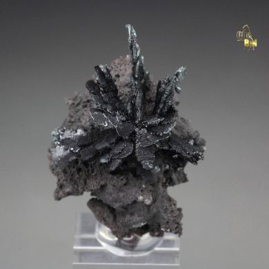 TENORITE