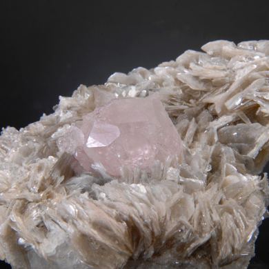  Fluorapatite (Apatite CaF) on Muscovite