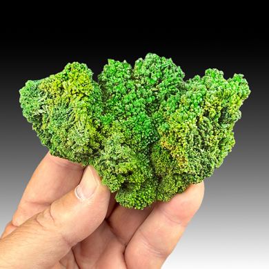 Pyromorphite