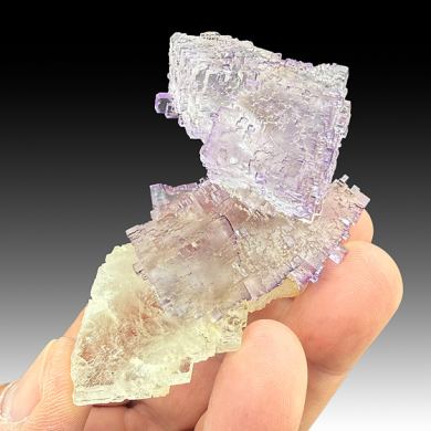 Fluorite with Celestine