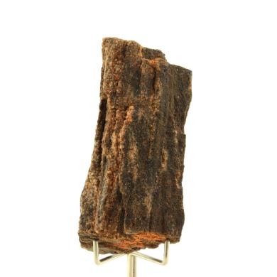 Petrified wood. 300.0 ct.