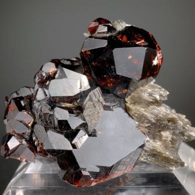 Spessartine on Muscovite