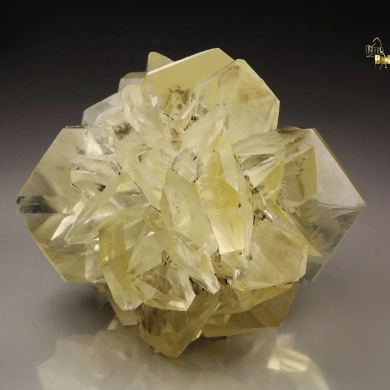 GYPSUM floater
