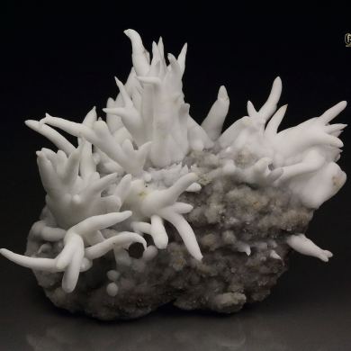 ARAGONITE var. FLOS FERRI
