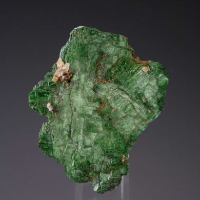 Metatorbernite (Huge Crystal)