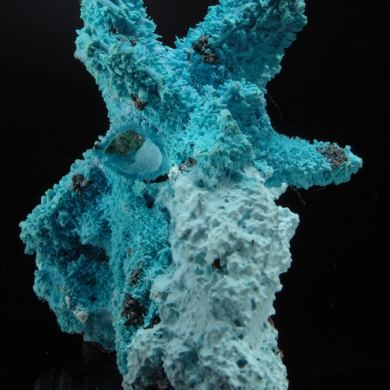 Chrysocolla pseudo after Azurite/Malachite