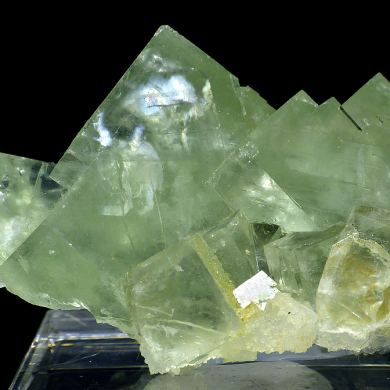 Fluorite MONGOLIA