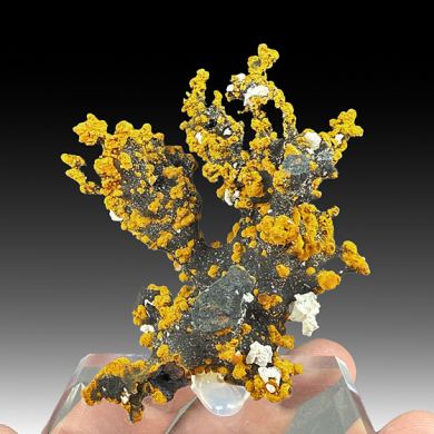Romanechite with Goethite