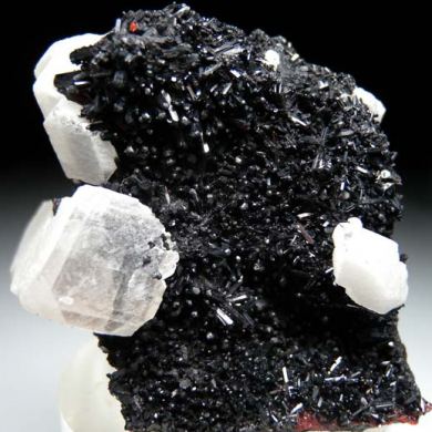 Barite on Gaudefroyite