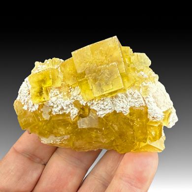 Fluorite with Barite