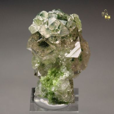 gem GARNET var. GROSSULAR with GREEN CHROMIAN PHANTOMS, DIOPSIDE