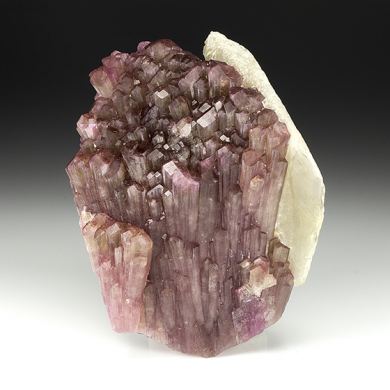 Liddicoatite with Quartz