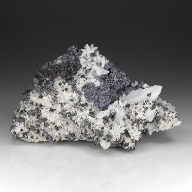 Miargyrite with Pyrargyrite, Quartz