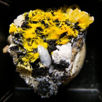 Boltwoodite