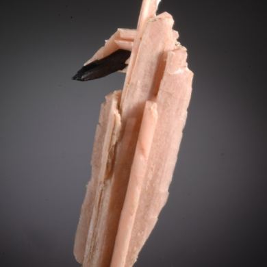 Serandite and Aegirine (rare form)