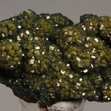 Pyromorphite on Malachite