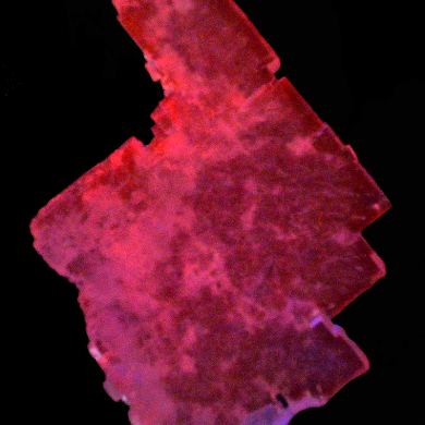 Halite