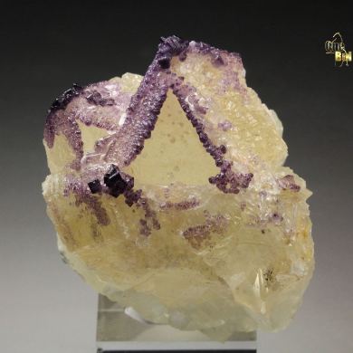new find - FLUORITE incrustations on skeletal CALCITE, GYPSUM