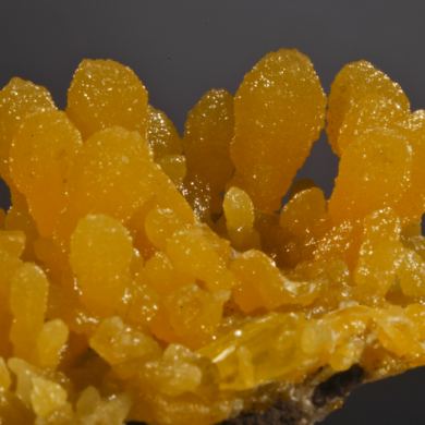 Mimetite with Wulfenite