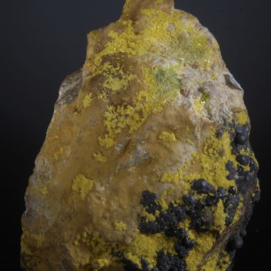 Parsonite with minor Torbernite, Dewindtite?  etc.