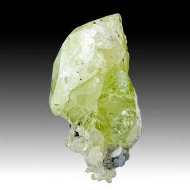 Diopside with Fluorapatite