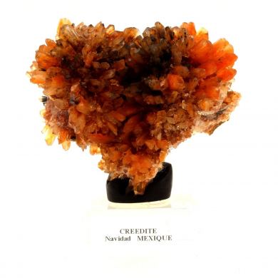 Creedite.