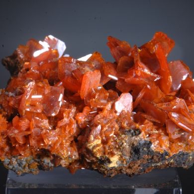 Wulfenite - thin habit bright red