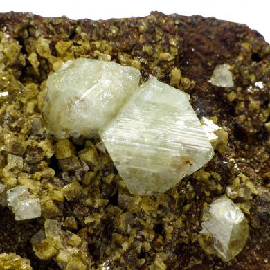 Wardite
