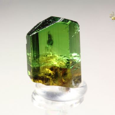 gem TOURMALINE var. DRAVITE