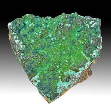 Chrysocolla