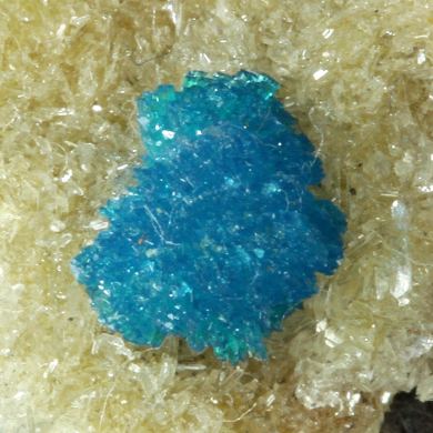 Cavansite with Stilbite