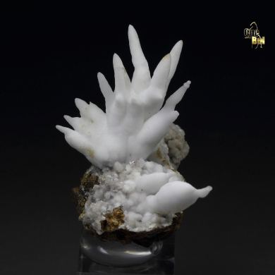 ARAGONITE var. FLOS FERRI