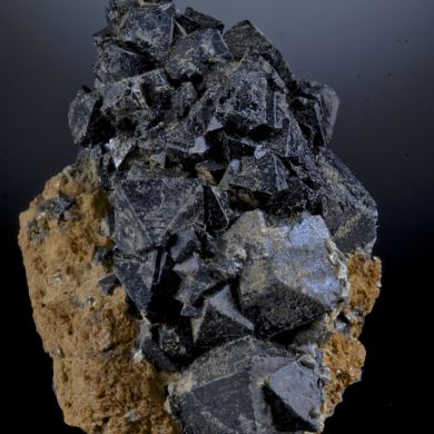 Spinel on Chondrodite  - USA classic