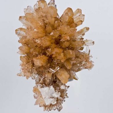 Creedite