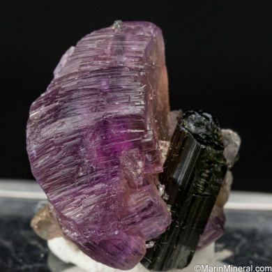Apatite with Tourmaline