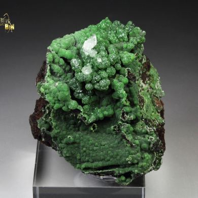 CONICHALCITE, CALCITE
