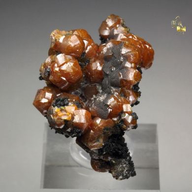 MIMETITE var. CAMPYLITE