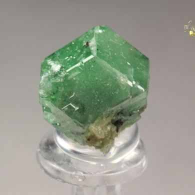 GARNET var. ANDRADITE