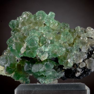 Fluorite (globular crystals) with Schorl