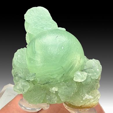 Prehnite with Amphibole (1574)