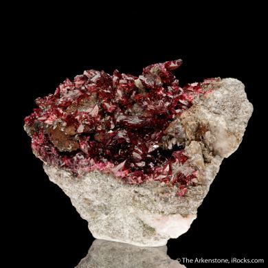 Wendwilsonite
