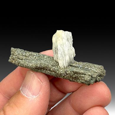 Barite with Pyrite (2052)
