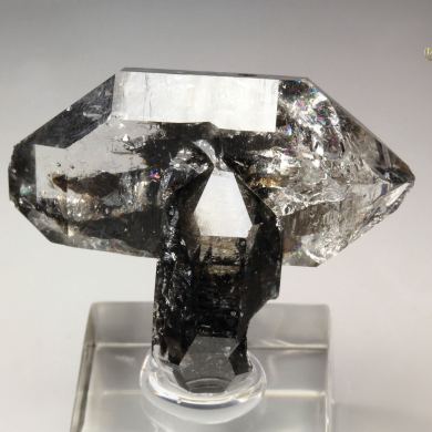 bi-terminated QUARTZ with bitumen inclusions